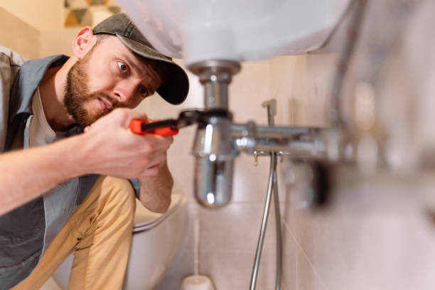 Best Plumbing System Maintenance  in Taylorvle, IL